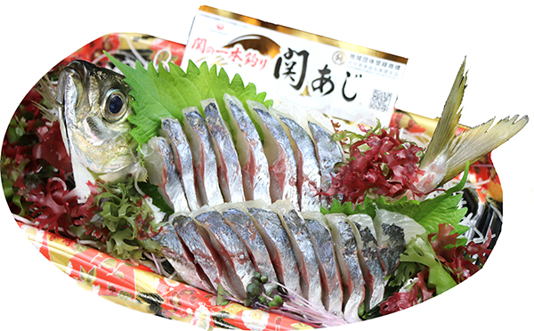 関あじの刺身
